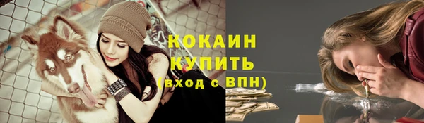 прущий лед Белокуриха
