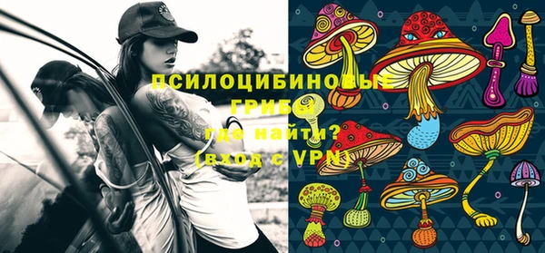 ПСИЛОЦИБИНОВЫЕ ГРИБЫ Беломорск