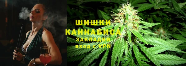 ПСИЛОЦИБИНОВЫЕ ГРИБЫ Беломорск