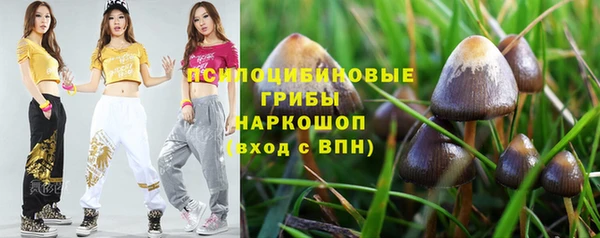 ПСИЛОЦИБИНОВЫЕ ГРИБЫ Беломорск